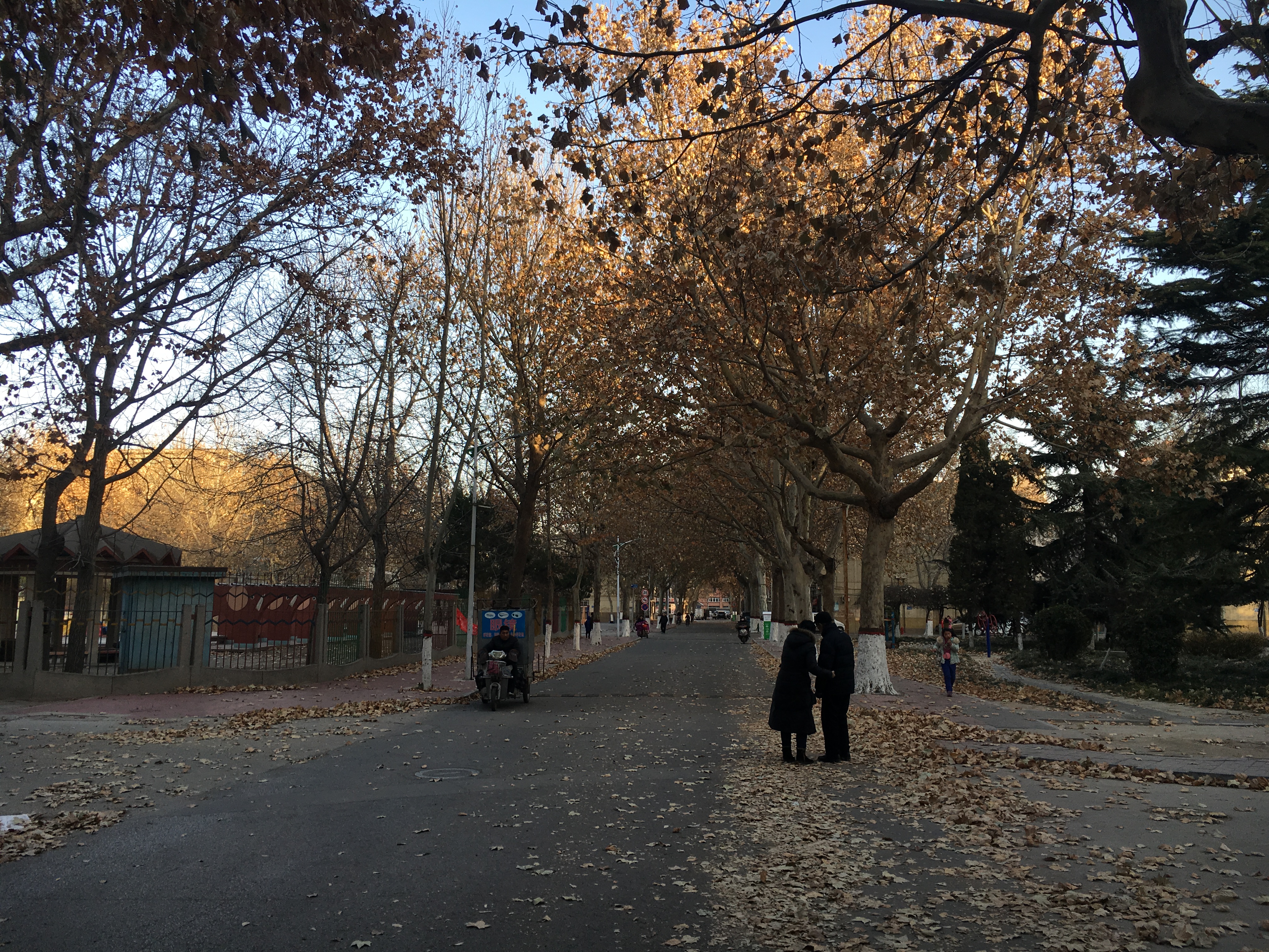 C. Saturius Placidus